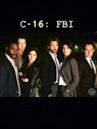 C-16: FBI