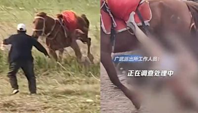 河南景區兒童騎馬墮下 爸爸眼前「遭拖行數百米慘死」 馬主被捕