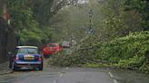 Storm Ciaran forces school closures and brings travel chaos after 100mph winds