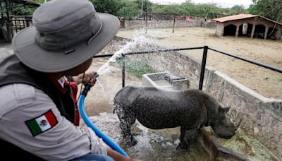 México registra 155 muertes por la temporada de calor