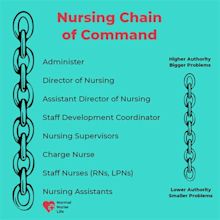 Nursing Chain of Command [Chart] - 8 Best Parts of the Chain