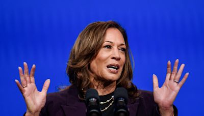 Opinion | MAGA attempts to weaponize DEI against Kamala Harris are absurdly predictable