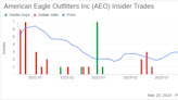 Insider Sell: Global Brand President-aerie Jennifer Foyle Sells 26,440 Shares of American Eagle ...