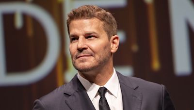 David Boreanaz Teases Plan to Extend His 27-Year Employment Streak After SEAL Team Ends