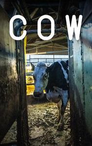 Cow (2021 film)