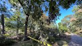 Brookgreen Gardens faces weeks of cleanup after powerful storm damage