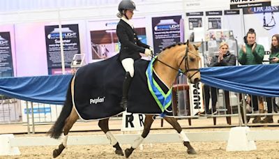 A buckskin and a show pony steal the show at winter dressage championships