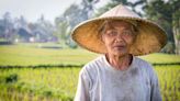 Rice is a silent source of methane emissions: Meet the startup helping farmers tackle the problem