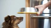 The Farmer’s Dog: Has the Dog Food Brand Issued a Recall in 2024?