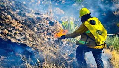 Borró la lluvia el incendio forestal en Janos