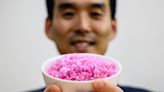 'Meaty rice'? South Korean professor aims to change global protein