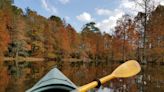 Delaware kayaking guide: Best spots to paddle, how to stay safe