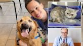 These veterinarians have seen it all — here are their stories