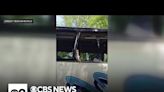 5 injured, 2 seriously when tour bus struck tree in N.J. crash