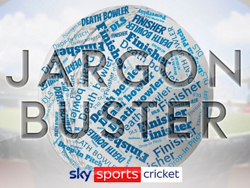 T20 World Cup jargon buster: Learn about powerplays, finishers, drop-in pitches, DLS, DRS and more