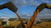 EU agrees tariffs on Russian, Belarusian grain imports from July