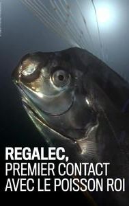 Régalec, premiers contacts avec le poisson roi