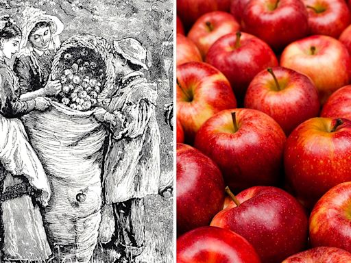 Meet the American who first planted apples in the colonies: William Blaxton, eccentric settler