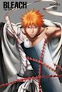 Bleach season 3