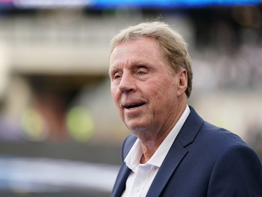 Harry Redknapp says Gareth Southgate didn't deserve Euros beer cup incident