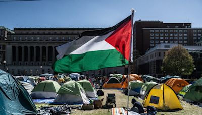 More than 125 arrested at four Virginia universities amid nationwide protests over Israel-Hamas war