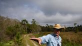 Restoring a treasure: Audubon Corkscrew Swamp Sanctuary passes hard-fought habitat milestone