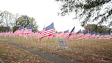 Nearly 900 flags placed to recognize Jackson veterans, first responders, victims of child abuse