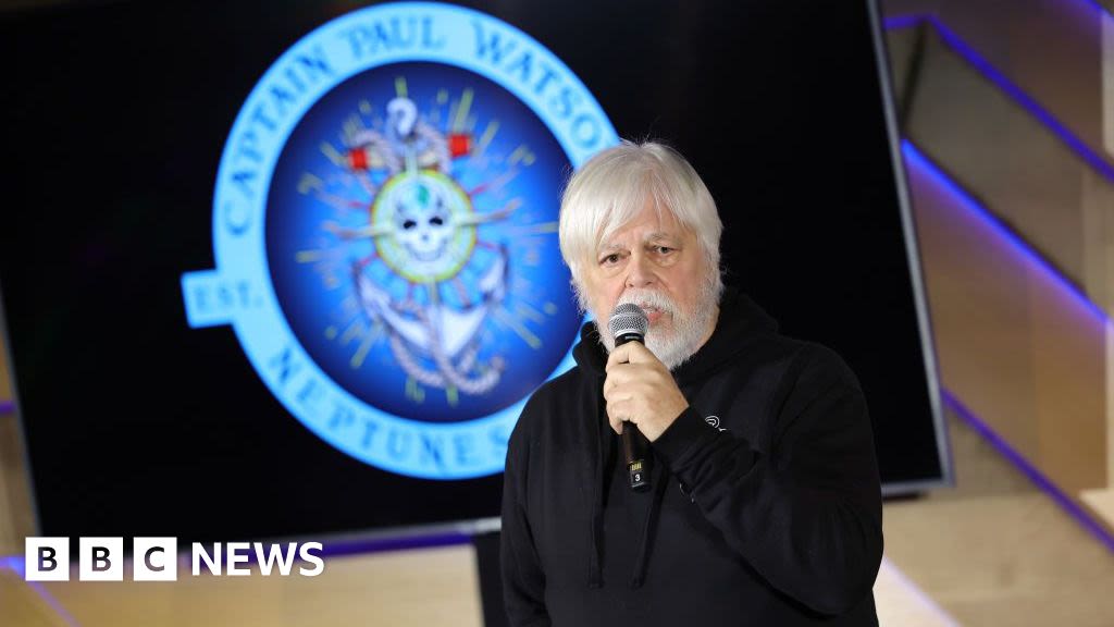 Paul Watson: Veteran anti-whaling activist arrested in Greenland