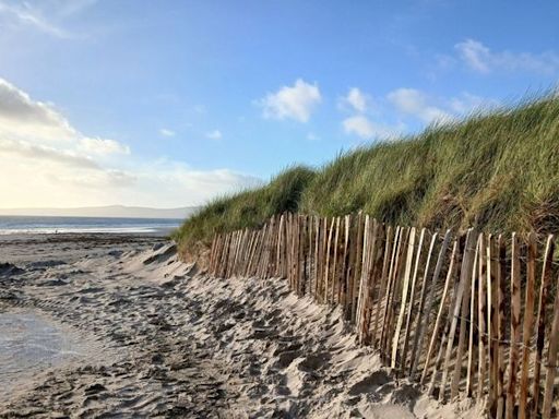 Sand dune fence on Kerry beach torn down and burned by vandals