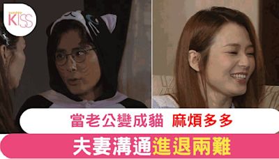 《愛回家之開心速遞》夫妻溝通危機！呂慧儀張景淳透過養貓重燃愛火？