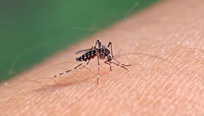 1st West Nile virus case confirmed in Colorado for 2024