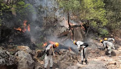 Liquidaron 2º incendio de Temósachic; Guerrero bajo control: Conafor