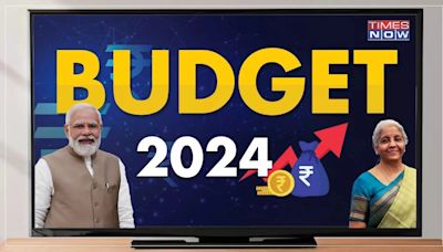 Budget 2024 Expectations: Will Govt Hike Section 80C Deduction Limit? Here's What Experts Believe