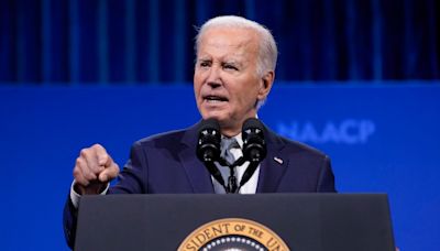 Some DNC delegates push to remove Biden from top of ticket, oppose virtual roll call