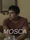 Mosca