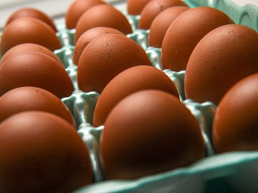 Egg recall is linked to a salmonella outbreak, CDC says: See which states are impacted