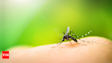 Man tests positive for Zika while undergoing treatment for septicaemia | Pune News - Times of India