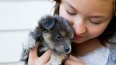 5 tips for raising a puppy with kids, according to a professional dog trainer