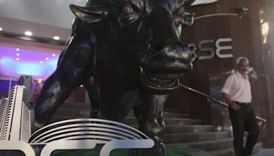 These stocks are helping Sensex stay above 80,000-mark: Do you own any?