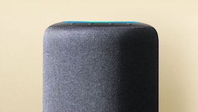 Do you need a smart speaker in 2024?