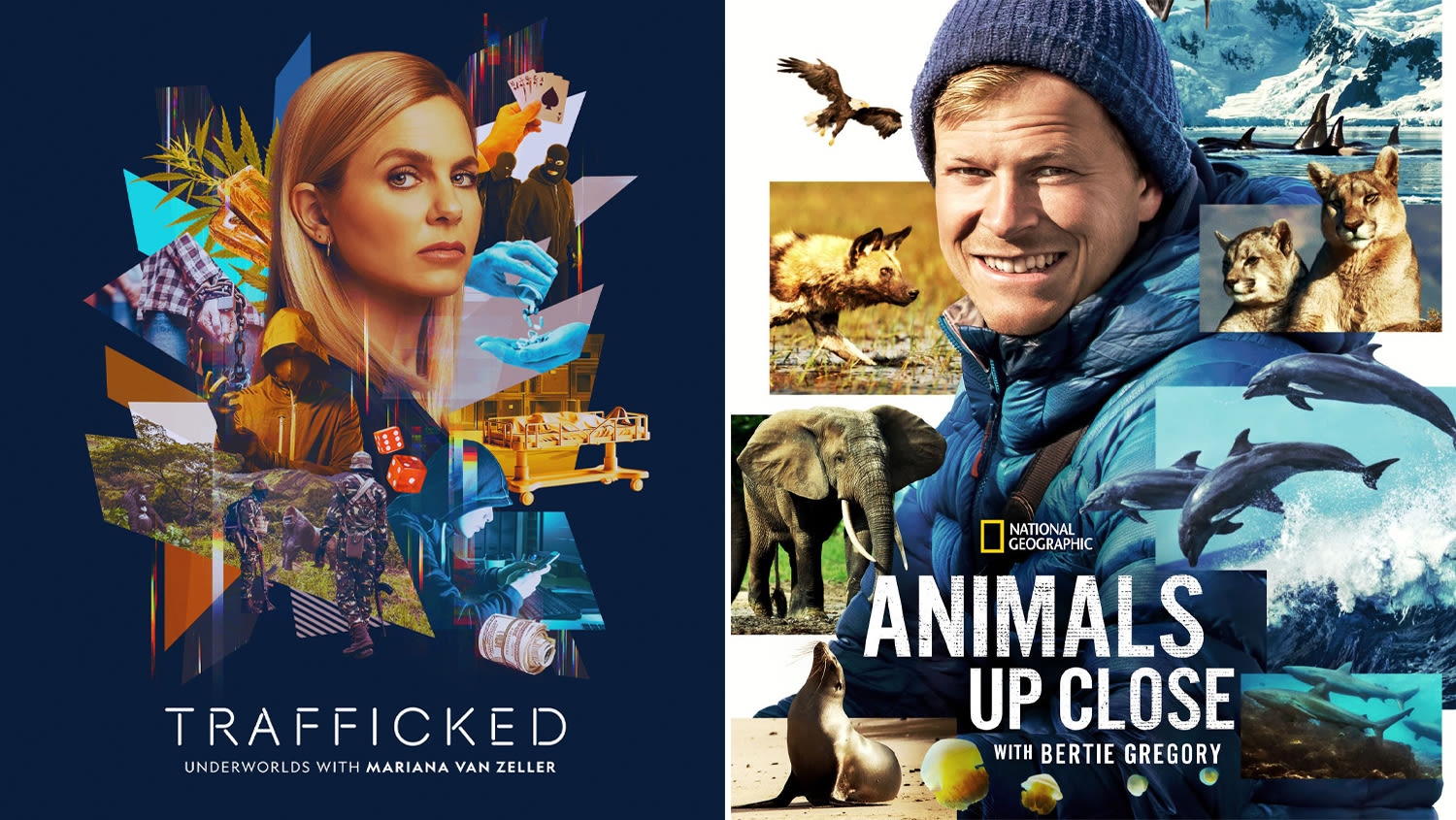 ‘Trafficked’ & ‘Animals Up Close’ Renewed By Nat Geo