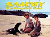 Sammy the Way Out Seal