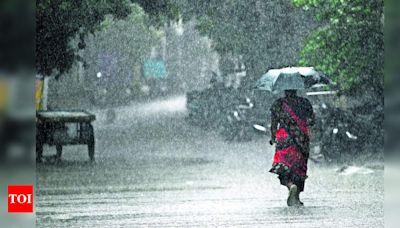 Record Rainfall in Chennai Expected This Month | Chennai News - Times of India