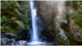 “Hit us hard”: Heartbreak after Indian man’s death at Lynn Canyon | News