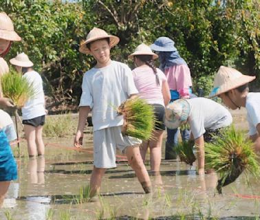 深度探訪嘉義農村之美 農村DIY插秧體驗 | 蕃新聞