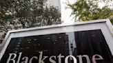 Blackstone acquires pet care app Rover in $2.3 billion all-cash deal