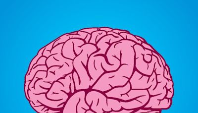 How Neuroscience Can Change The Wine Marketing Game