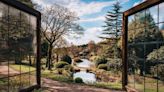 Fantastic forests in Britain for a restorative stay