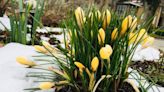 'Significant spring storm' on the way for southern Saskatchewan: Environment Canada