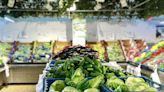 市售蔬果農藥殘留1成2不合格 連鎖火鍋、超市分店上榜 - 鏡週刊 Mirror Media